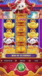 9999rs · Fortune Rabbit